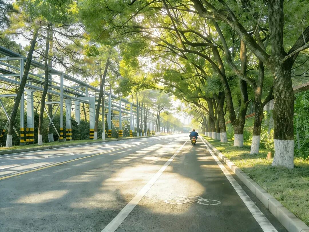 衡钢厂区 衡钢厂区